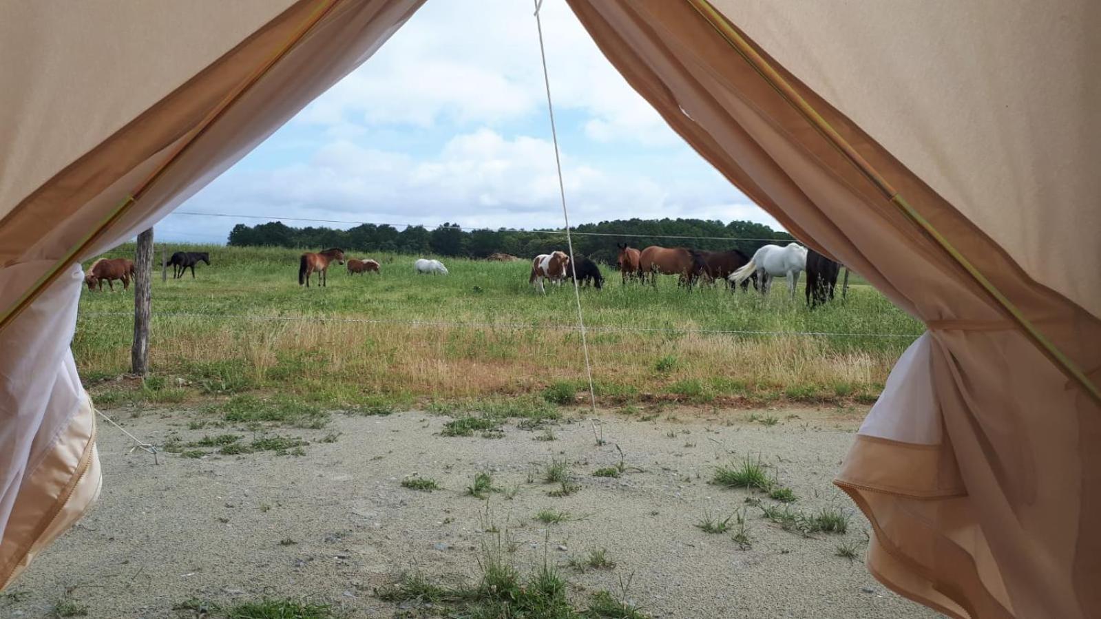 Centre Equestre D'Azay Le Rideau Ξενοδοχείο Δωμάτιο φωτογραφία